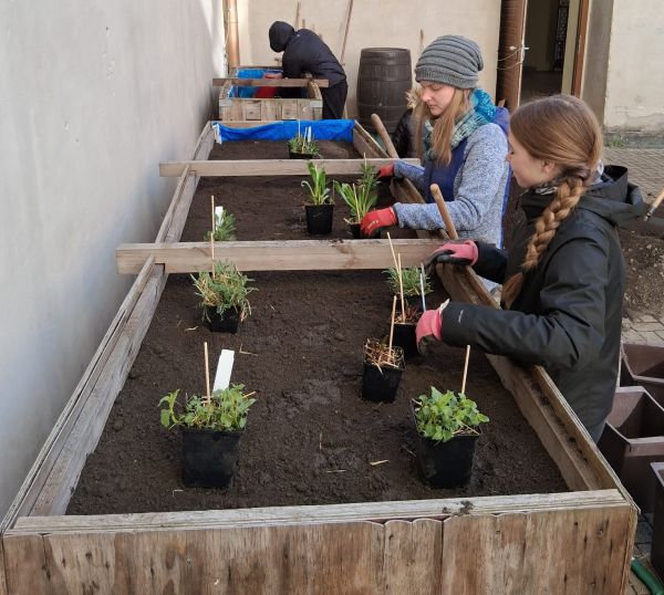Schülerinnen bepflanzen Beete