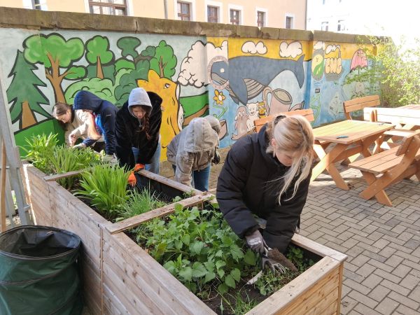 Schülerinnen bepflanzen Beete